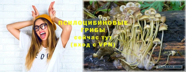 дурь Бородино