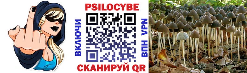 darknet телеграм  Мосальск  Галлюциногенные грибы Psilocybine cubensis 